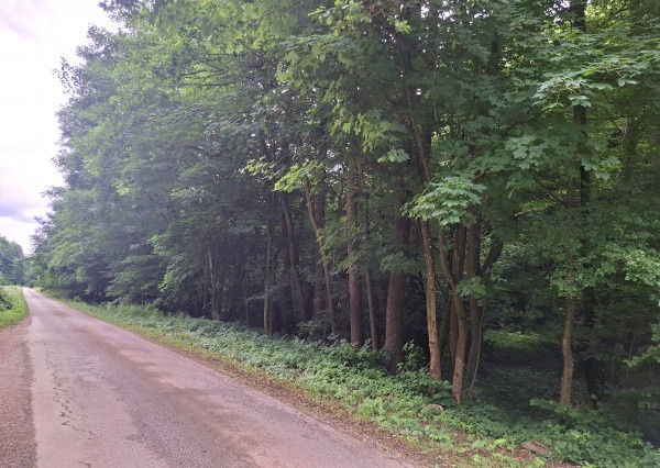 Predám pozemok v Antonstáli - 4