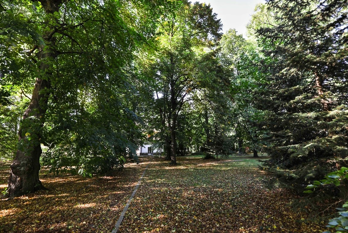 Pálffyho letohrádok - 4