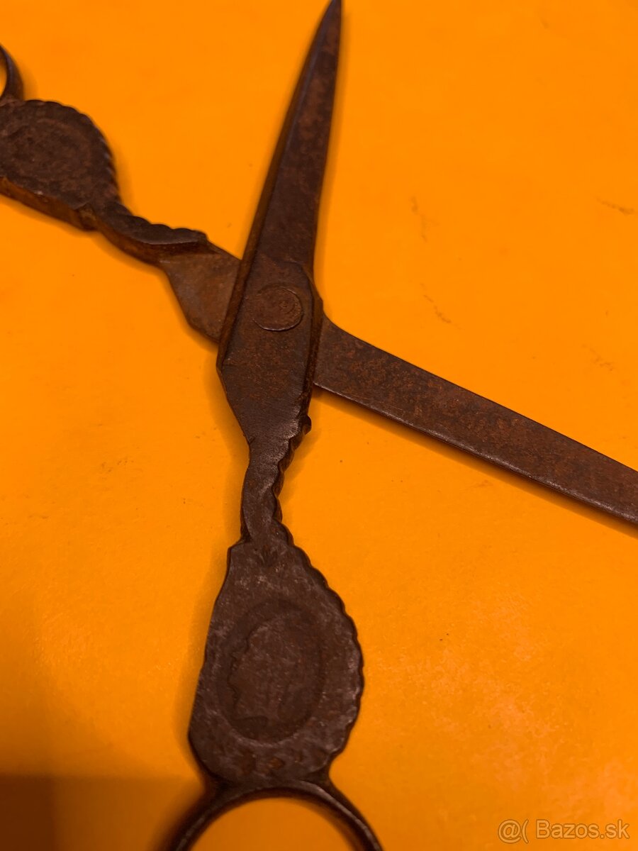 Noznice starozitne - 4