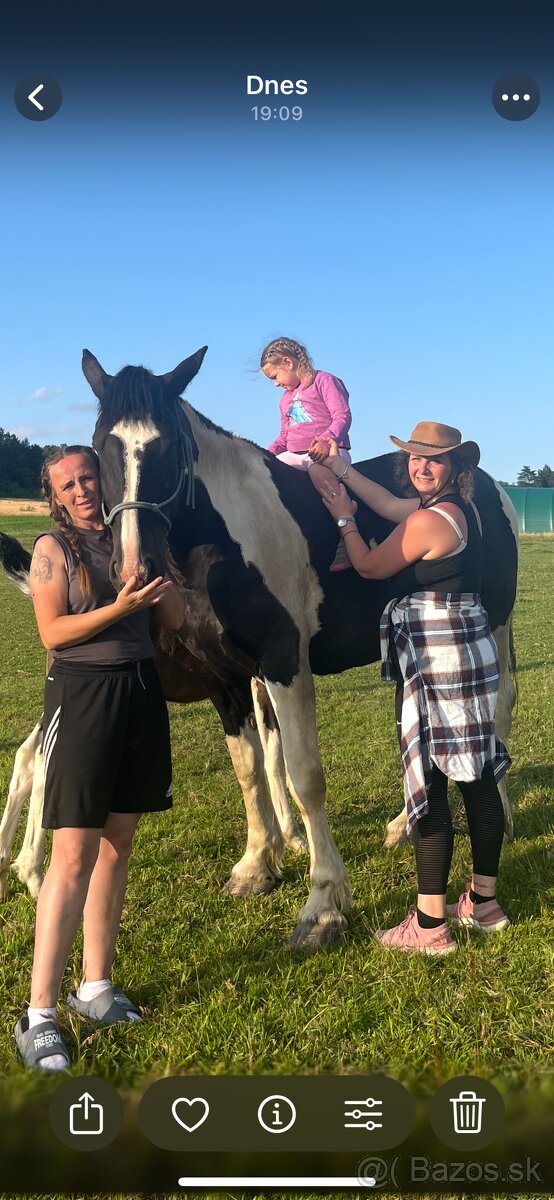 Kobylka do Rodiny hledá super Parťáka - 4