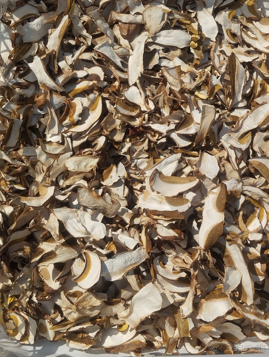 Sušené lesné hriby - 4