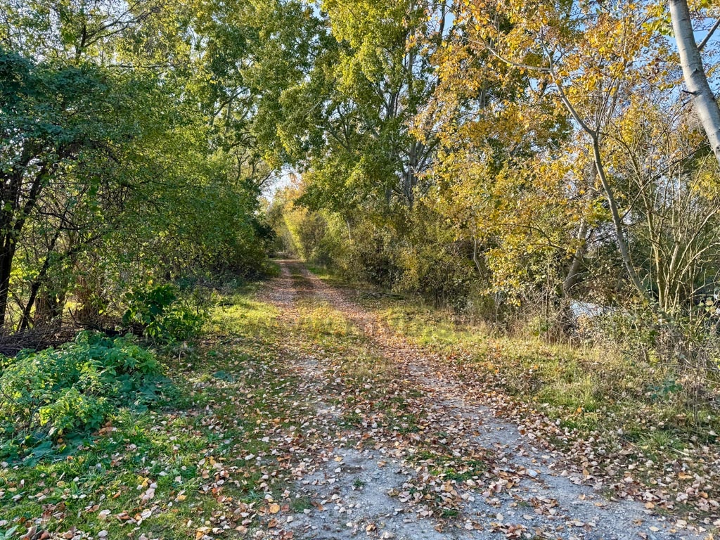 13 ÁROVÝ POZEMOK PRI KOMÁRNE S VÝHĽADOM NA JAZIERKO - 4