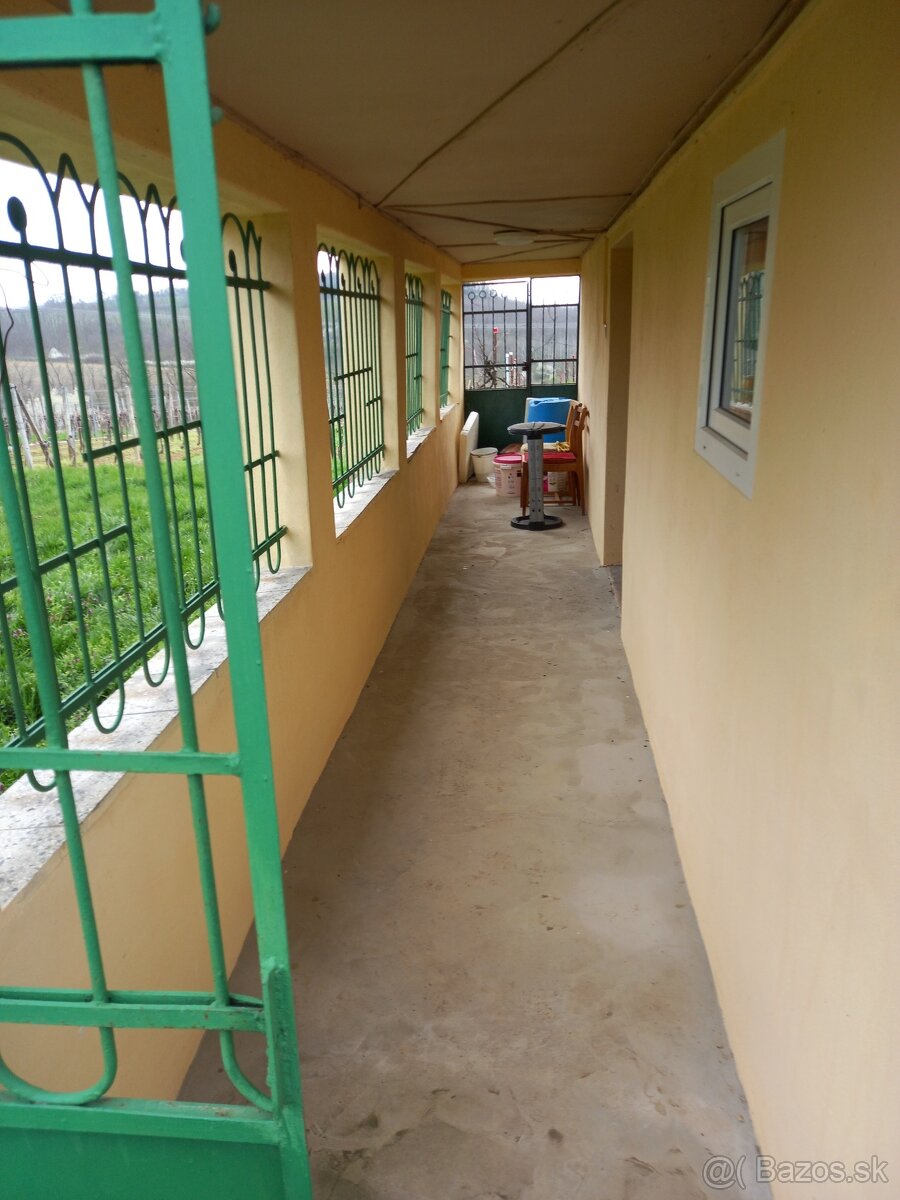 Viničný Hajlok - 4