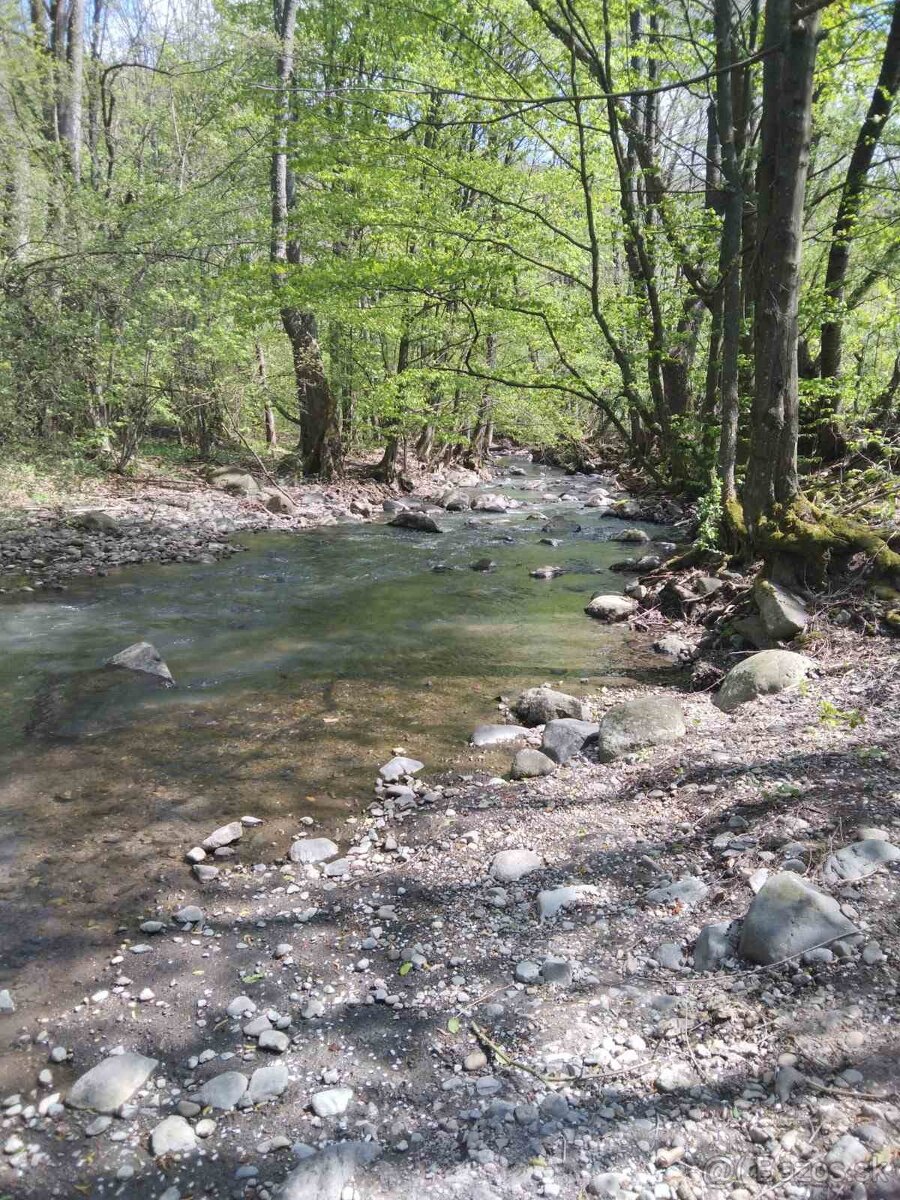 Predaj-Pozemok-farmárska usadlosť-Horné Plachtince okr. VK - 4