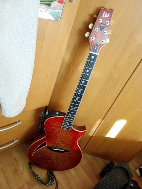 predam LTD ESP TL6 - 4