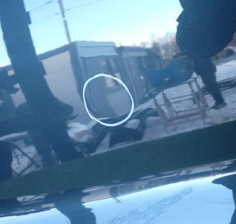 audi a1 dvere pravé predné 2019+ - 4