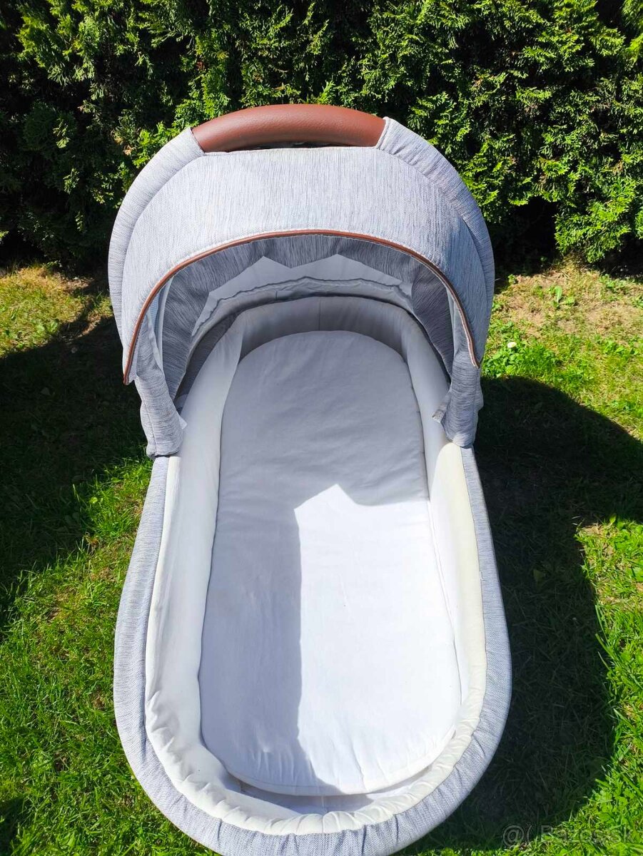 Bebetto Luca 2019 - 4