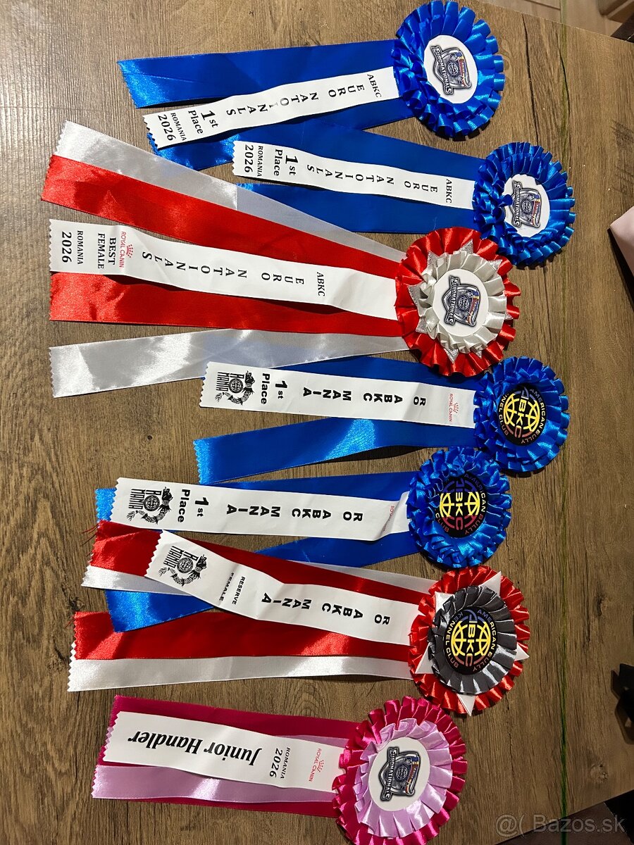 Francuzsky buldocek s pp - 4