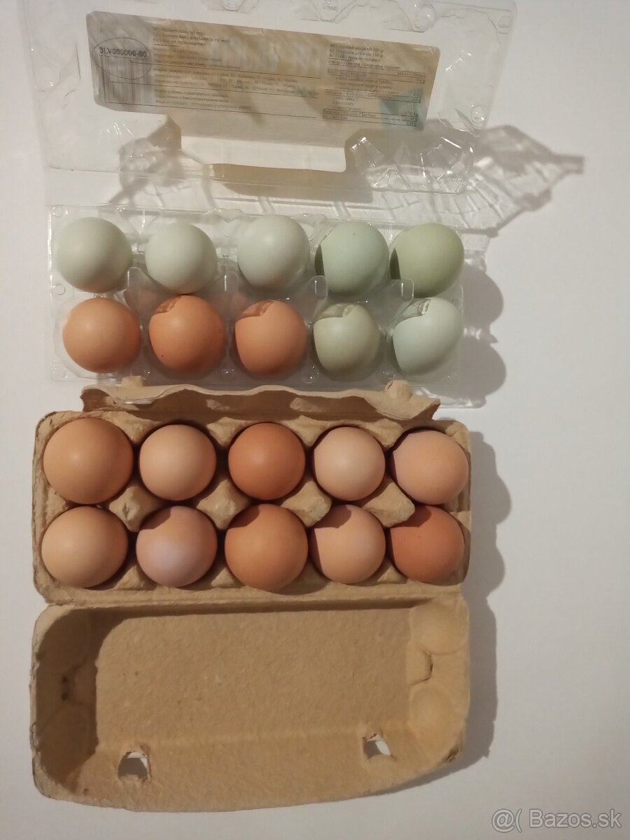 Čerstvé domáce vajíčka - 4