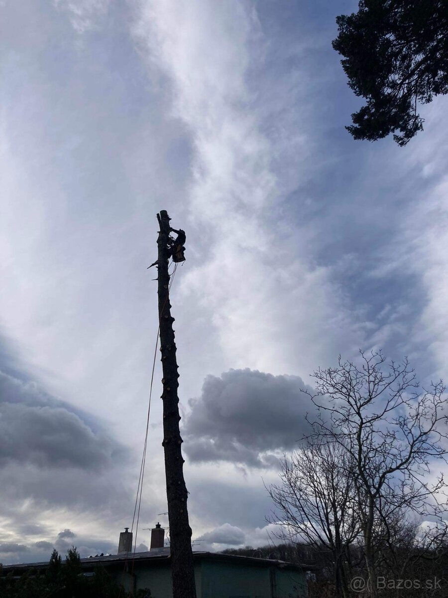 Výrub stromov, pílenie stromov, orez stromov, arboristika - 4