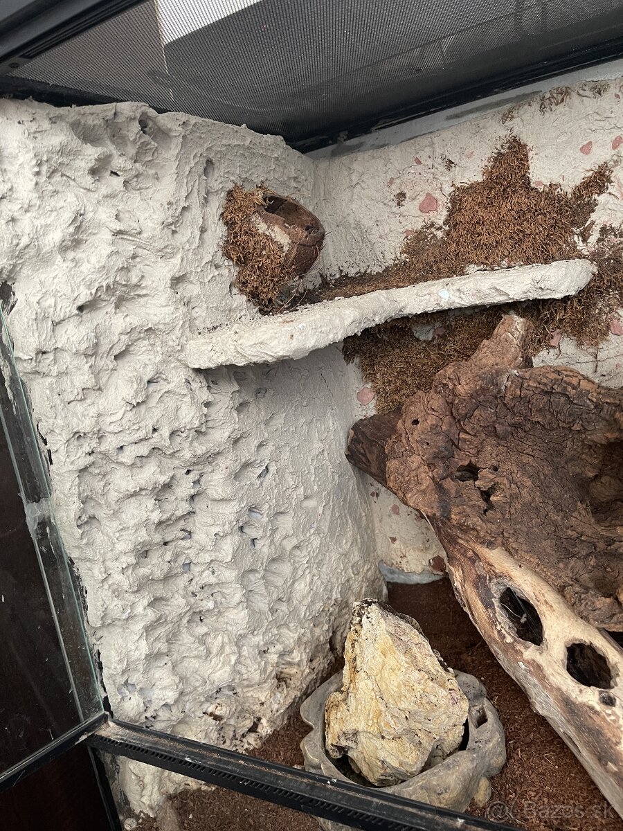 Terárium RP 60x60x45 - 4