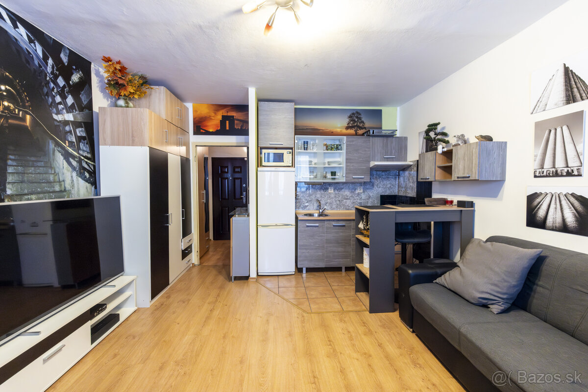 Predaj veľkej garsónky na KVP - 4