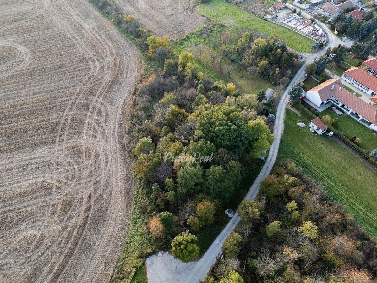 Pinky Real - Investičný pozemok v obci Boleráz - 4