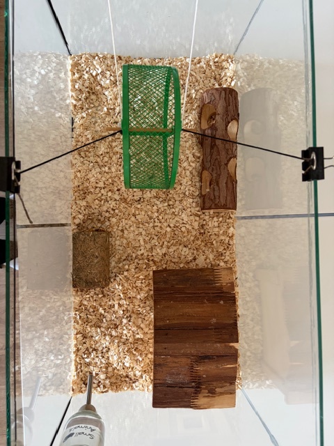 Výbava pre škrečka / hlodavca - 4