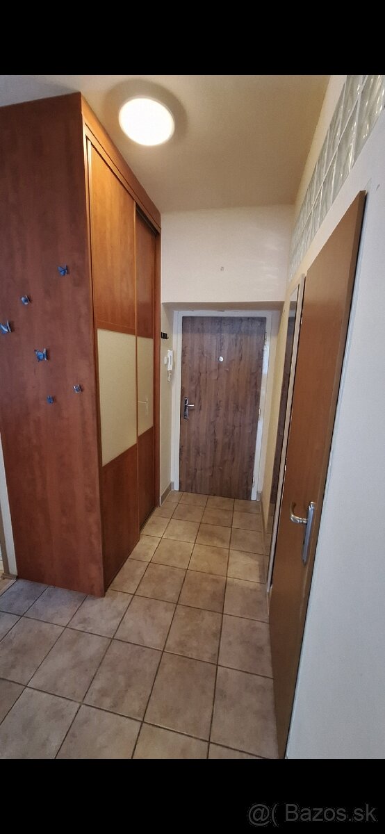 Dam do prenajmu 2 izb.byt vPN - 4