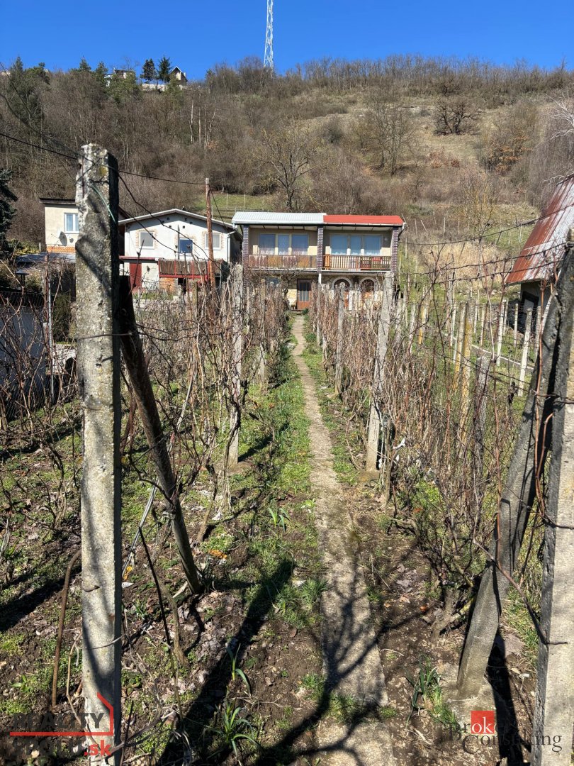 Viničná chatka na predaj - 4