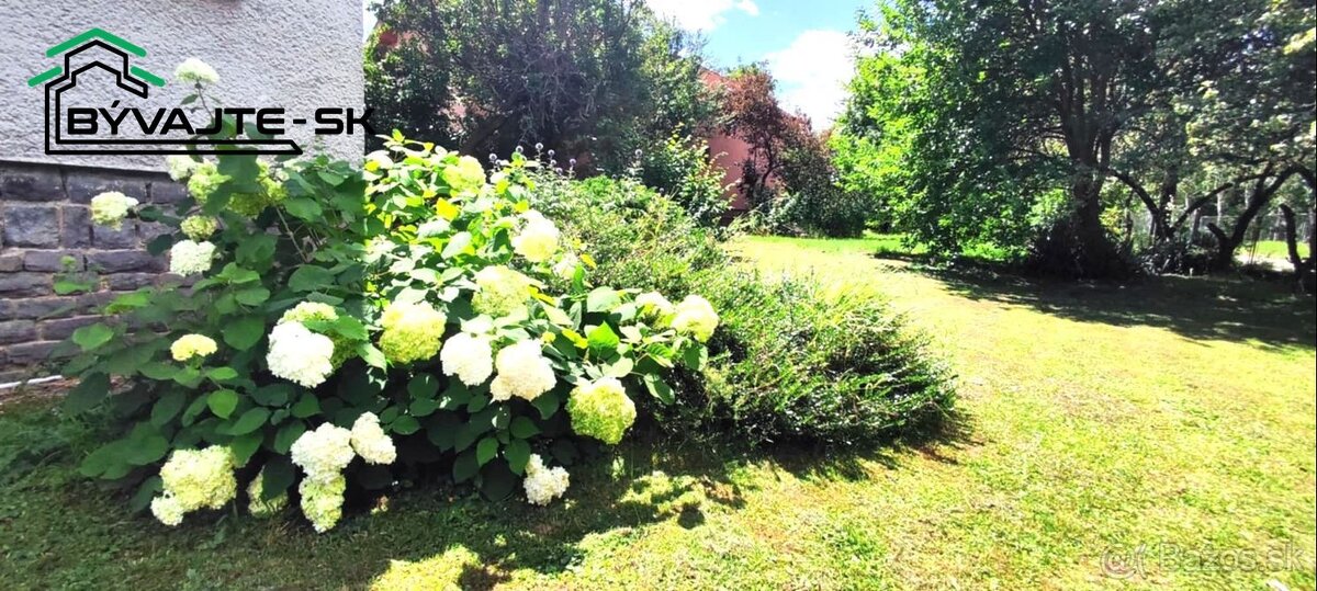 Predaj rodinného domu s veľkým pozemkom v Lehote pod Vtáčnik - 4