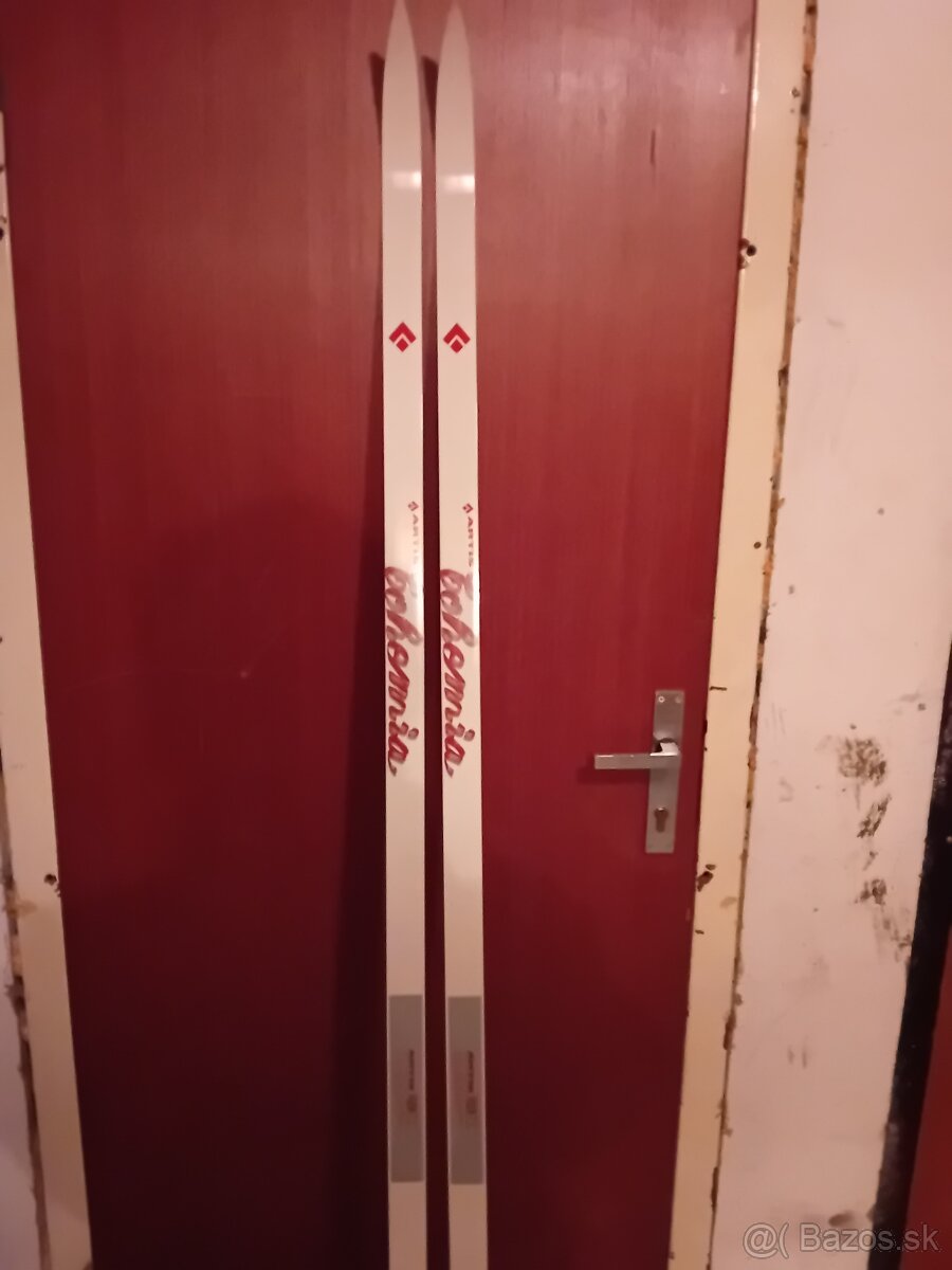 Bežky s palicami a lyžiarkami - 4