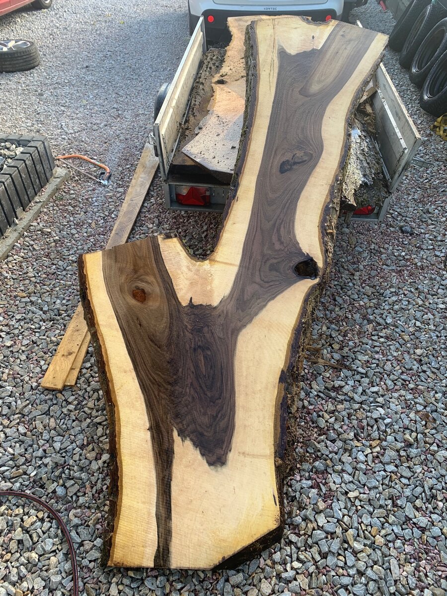 Orechove forsne z krásnou kresbou - 4