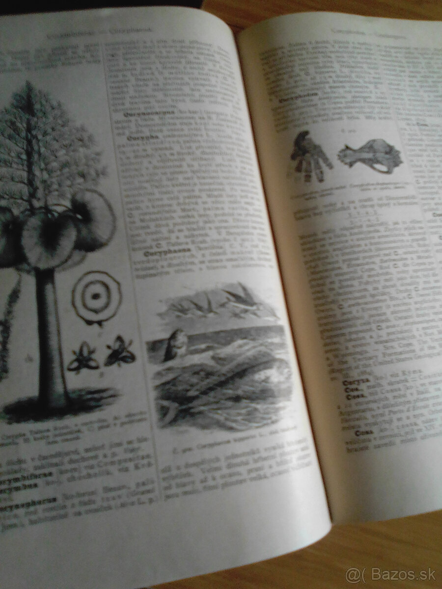 Originál Ottuv Slovník naučný - V 1892 - 4