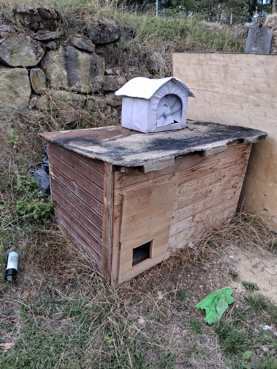 Búda pre psa - 4