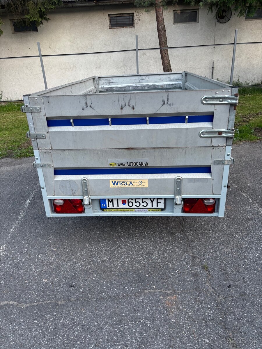 Wiola krakus - 4