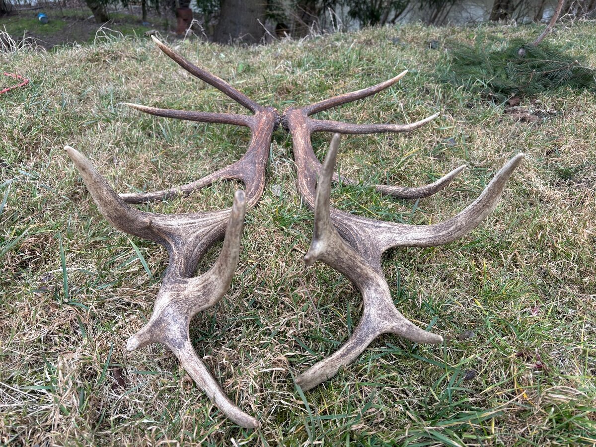 Parohy,parožie,zhody - 4