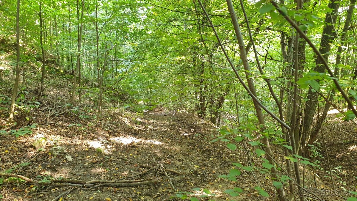 Revúca – 2.479 m2 LES – PREDAJ - 4