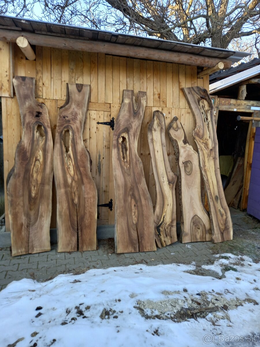 Predam orechove a dubove rezivo - 4