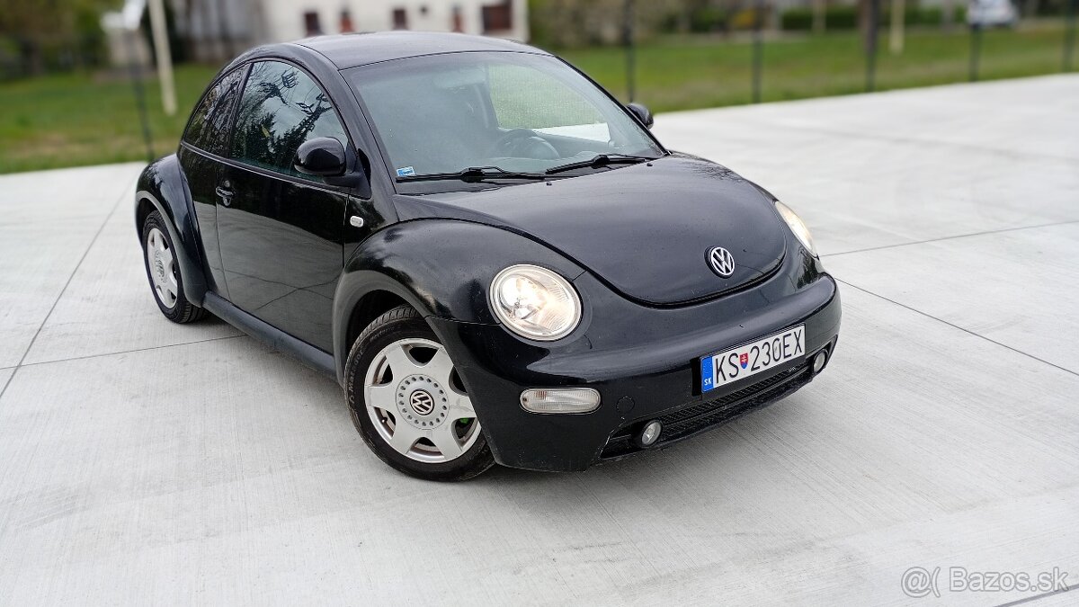 Beetle - 4