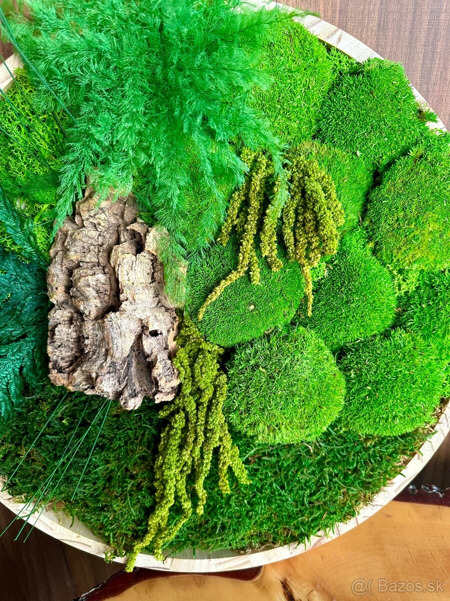 Predám nový machový obraz vhodný ako aj darček - 4