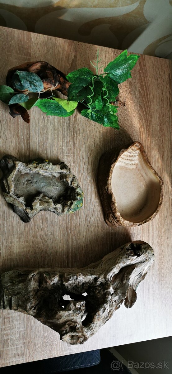 Terária s 3d stenou a dekorácie - 4