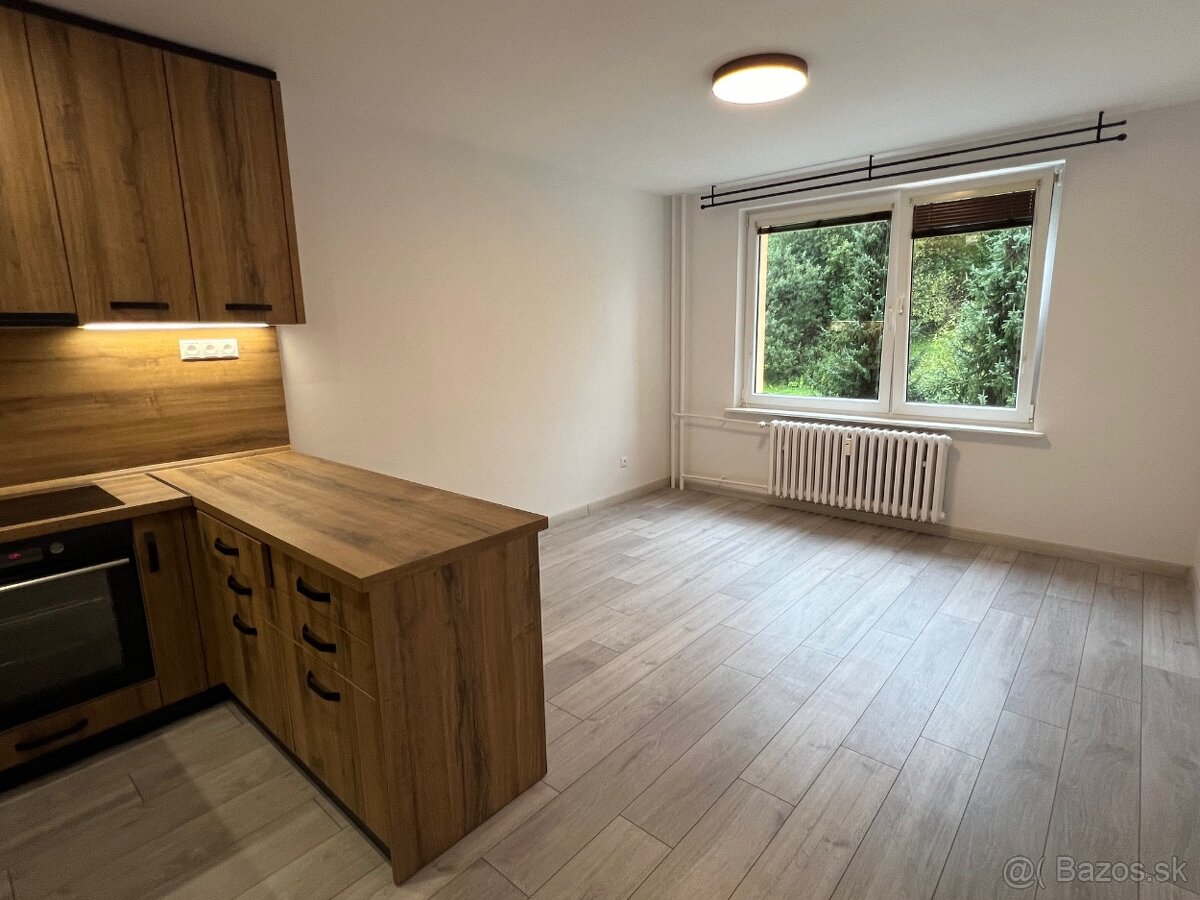 TRIOREALITY - Novozrekonštruovaná garzónka - Čadca - 4