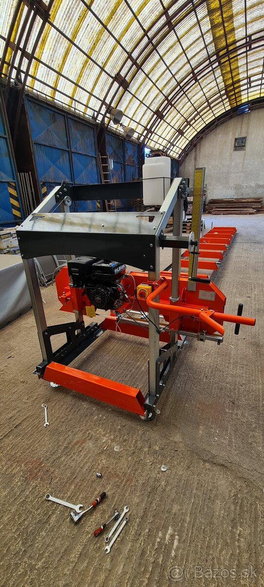 Kmenova pasova píla - 4