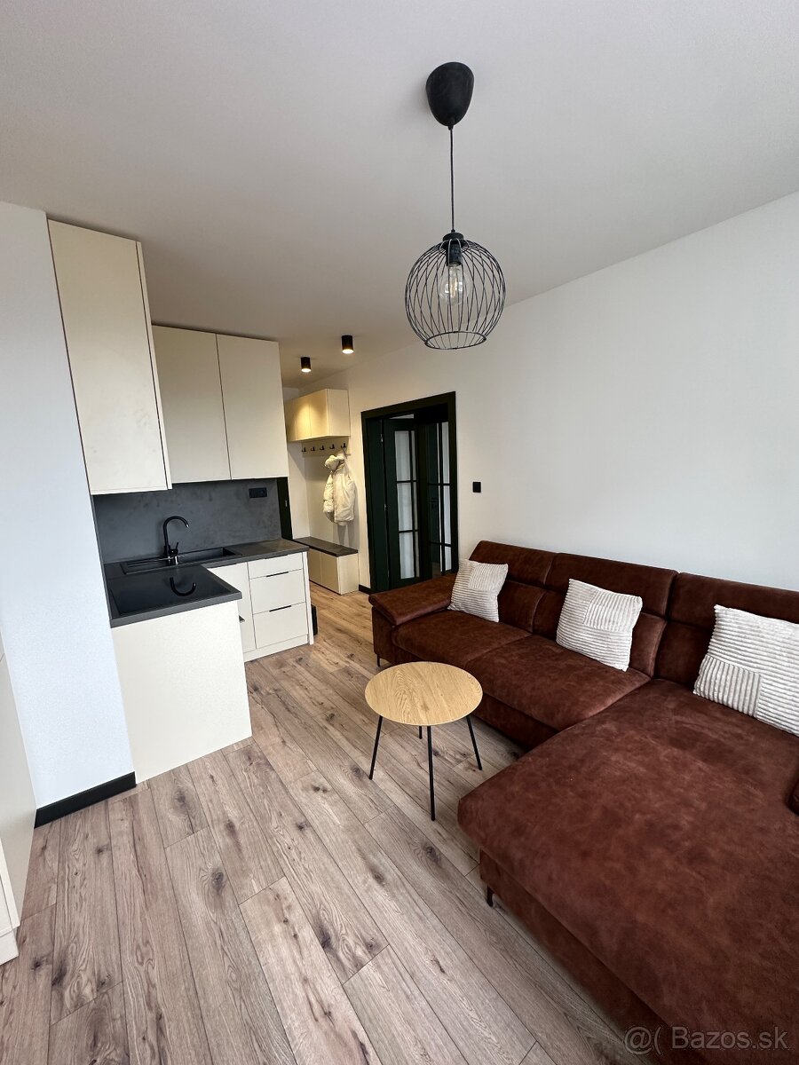 Veľký 1 izbový byt s Balkónom - 4