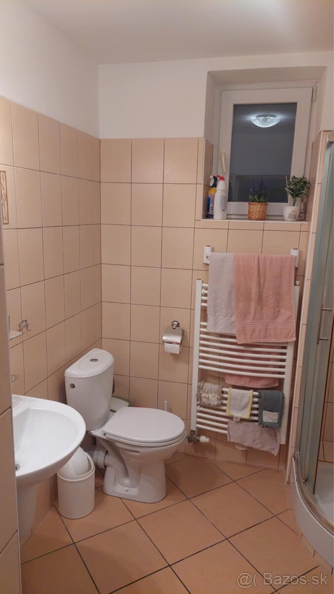 Dám do nájmu izbu v RD - 4