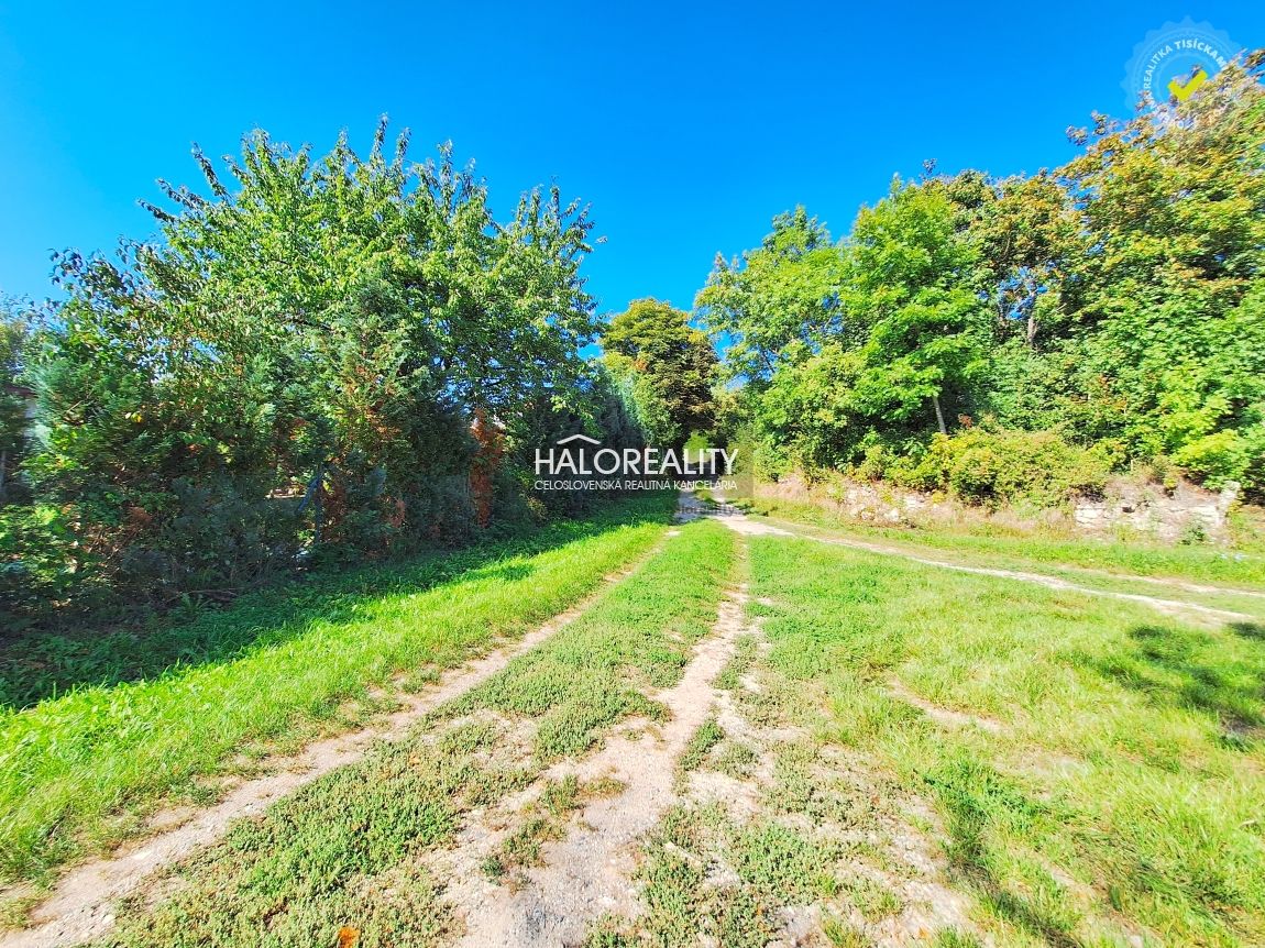 HALO reality - REZERVOVANÉ (prihláste sa na čakaciu listinu) - 4