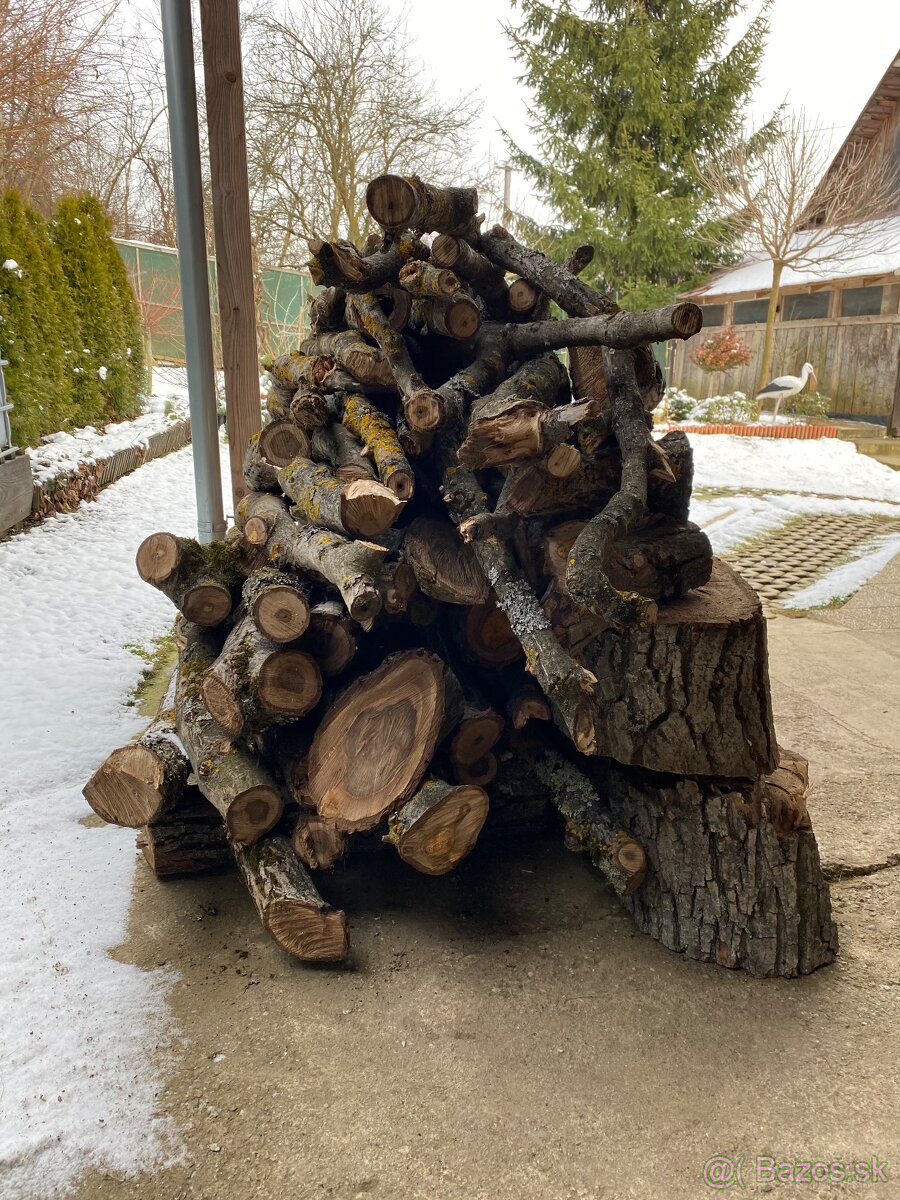 Predám čerstvé orechové drevo - 4