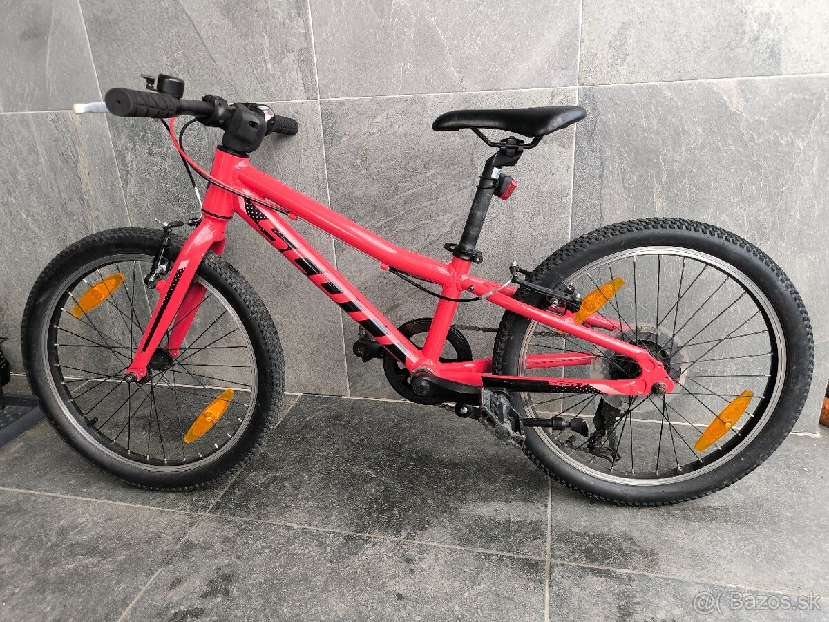 20" Scott a Frog - 4