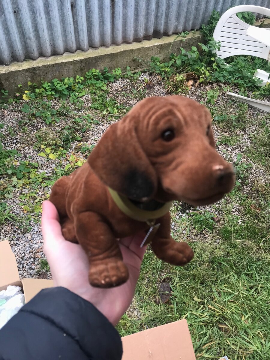 Retro pes s kyvajucou hlavou - 4