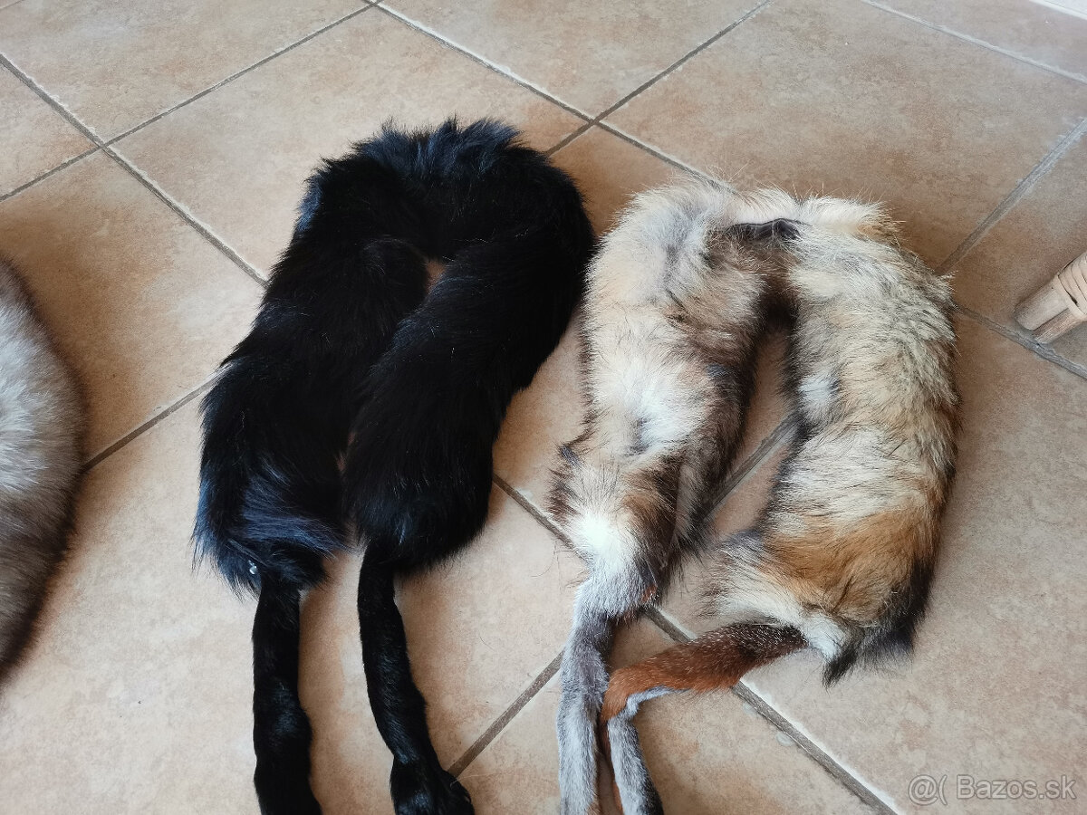 Líščie kožušiny - 4