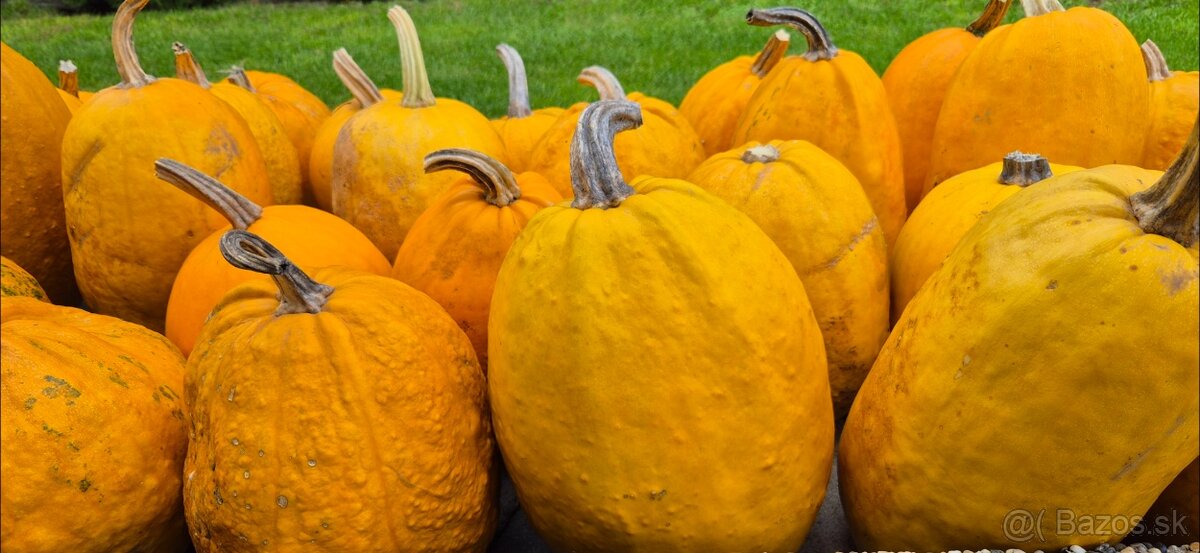 Tekvice na halloween - 4