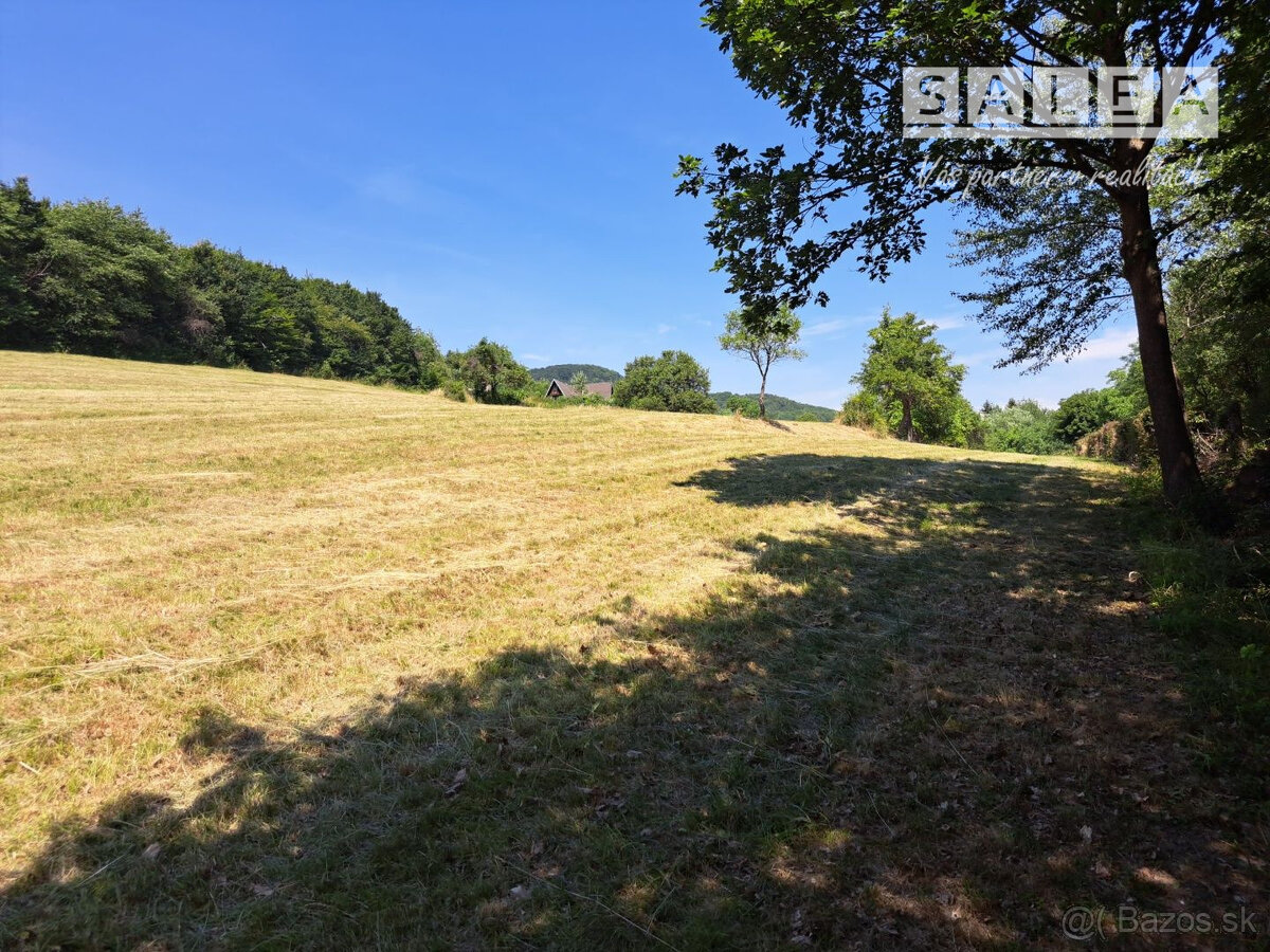 Predaj Pozemok o výmere 7000 m² v obci Pitelová – Ideálne m - 4