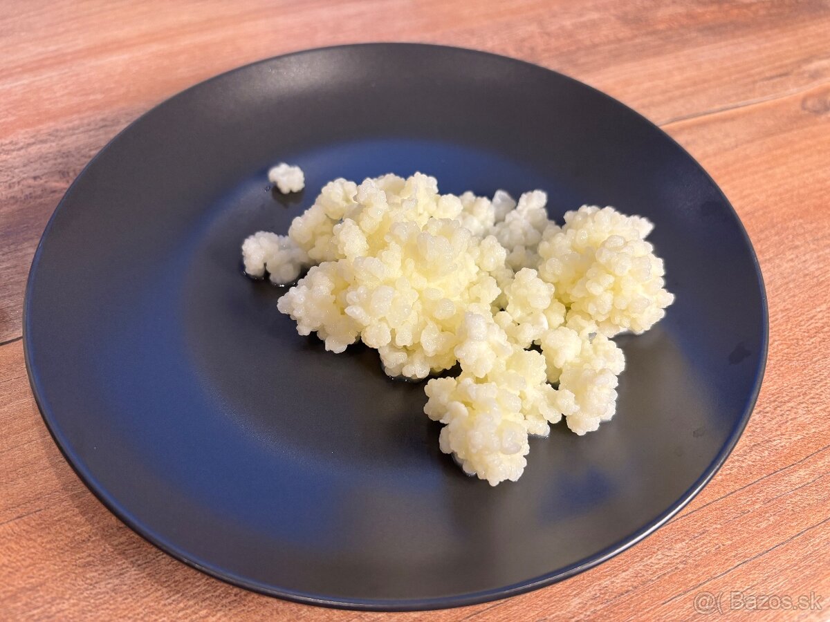 Tibetská huba - Kefír - 4