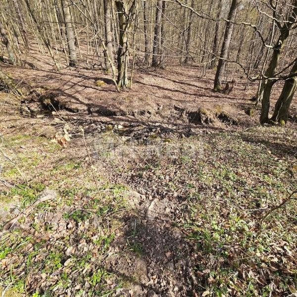 KANAŠ pozemok v lone prírody len 7 km od Prešova 10€/m2 - 4