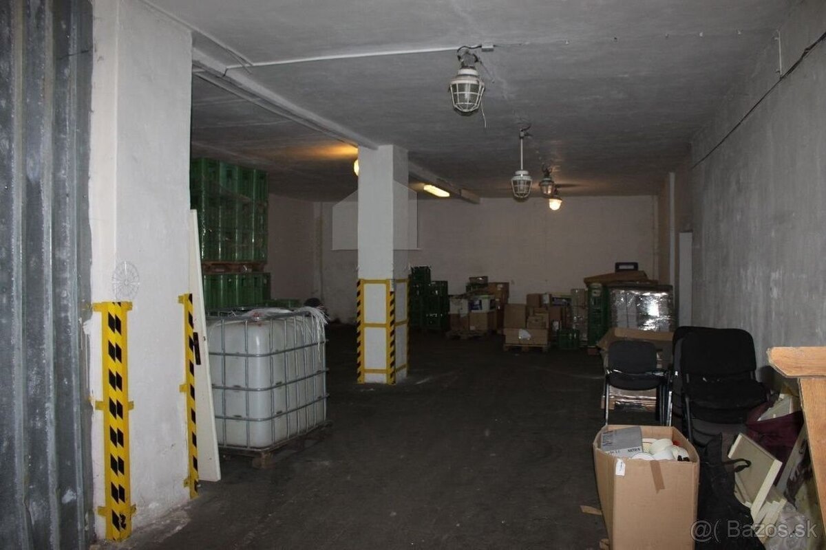 Skladové priestory, 10 km od Trenčína - 4