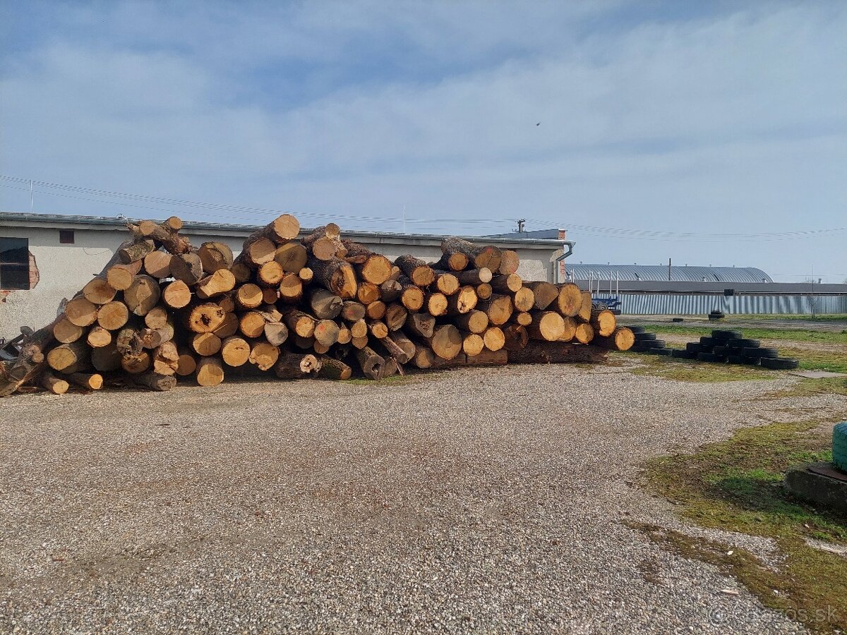 Výroba a predaj palivového dreva - 4