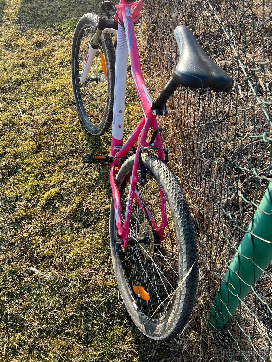 CTM CHARISMA 1.0 - 4