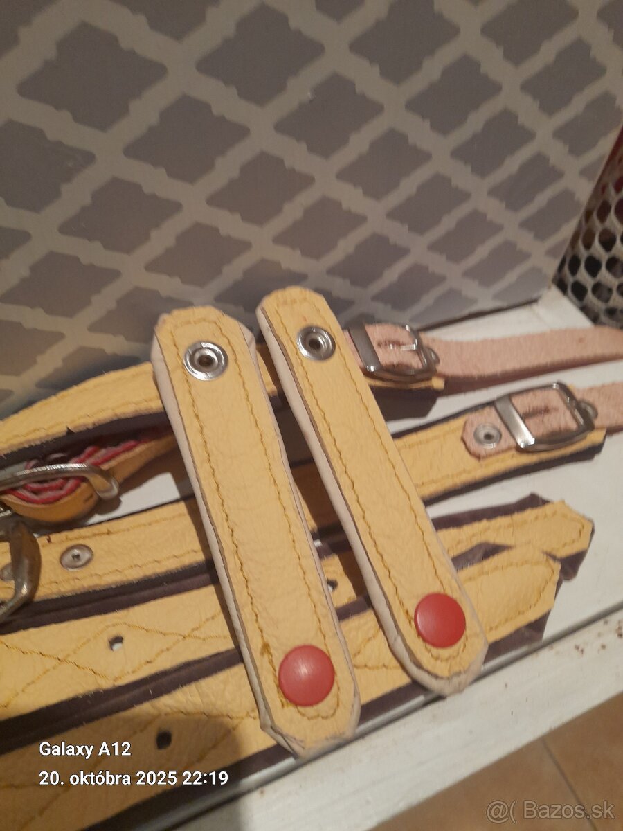 Akordeon -heligonka remene - 4