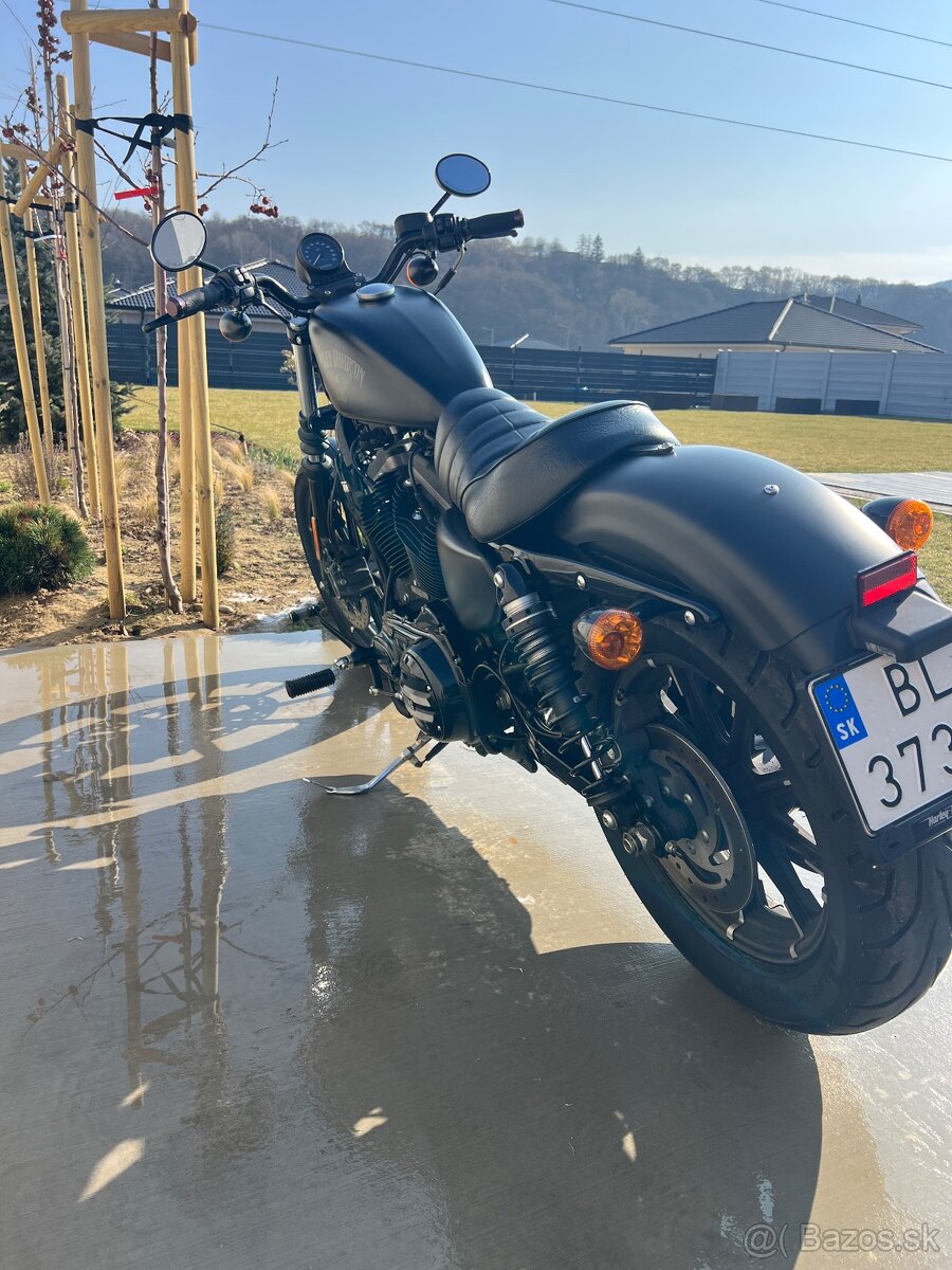 Predam Harley Davidson Iron 883 - 4